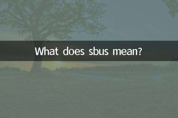 sbus은 무슨 뜻인가요?