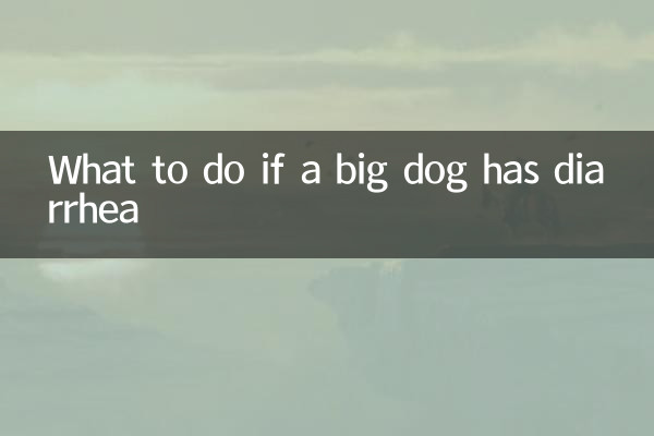What to do if a big dog has diarrhea