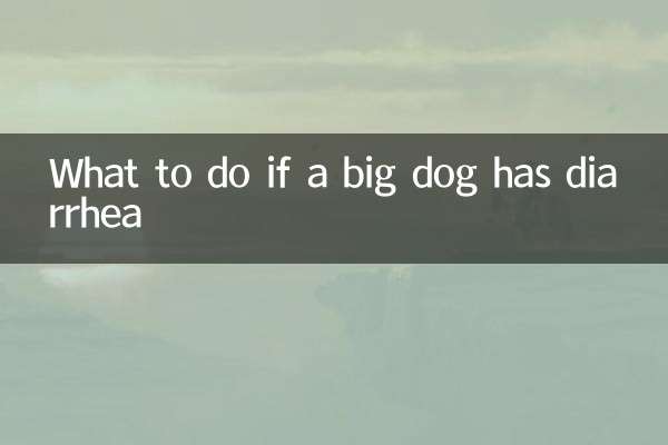 What to do if a big dog has diarrhea