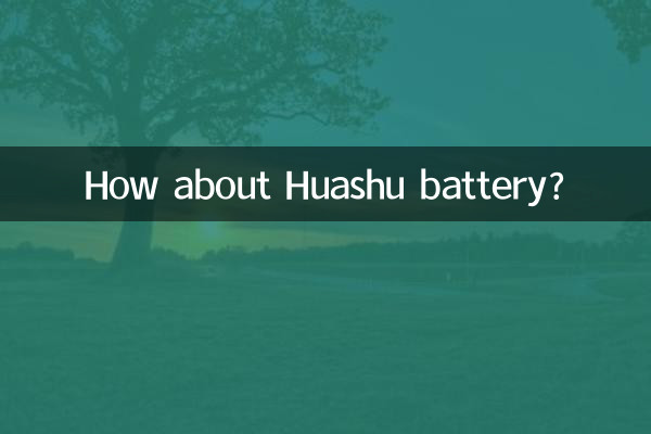 How about Huashu battery?