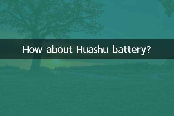 How about Huashu battery?