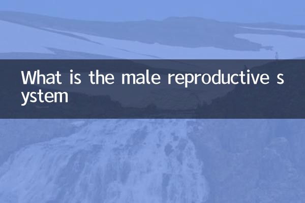 পুরুষের প্রজনন ব্যবস্থা কি