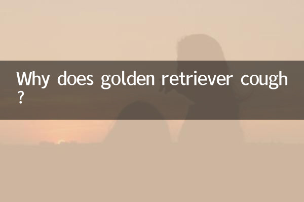 Why does golden retriever cough?