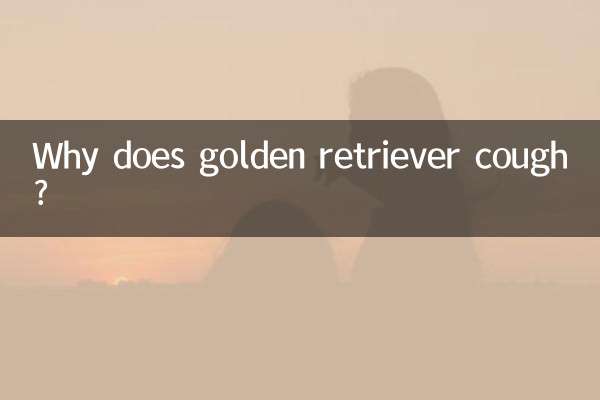 Why does golden retriever cough?