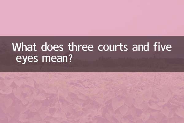 What does three courts and five eyes mean?