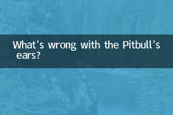 What's wrong with the Pitbull's ears?