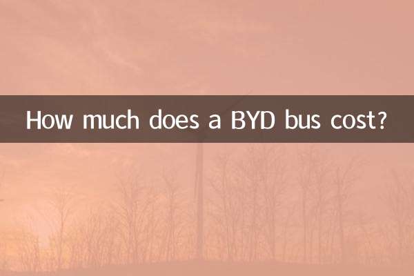 ایک BYD بس کی قیمت کتنی ہے؟