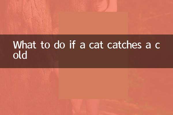 Что делать, если кошка простудилась