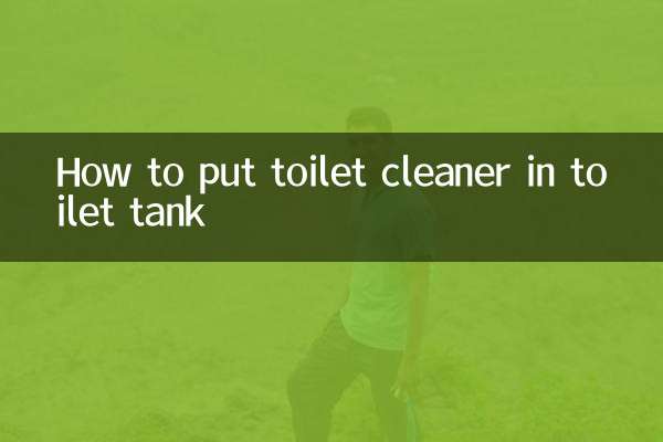변기 세척제를 변기 물탱크에 넣는 방법