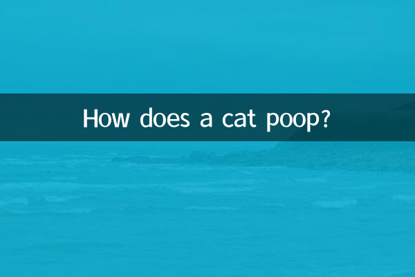 貓咪怎麼拉粑粑