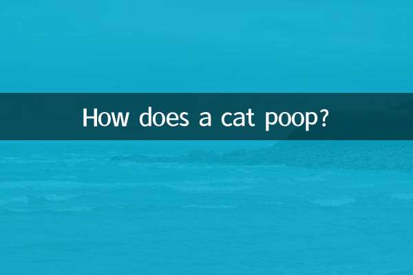 Come fa un gatto a fare la cacca?