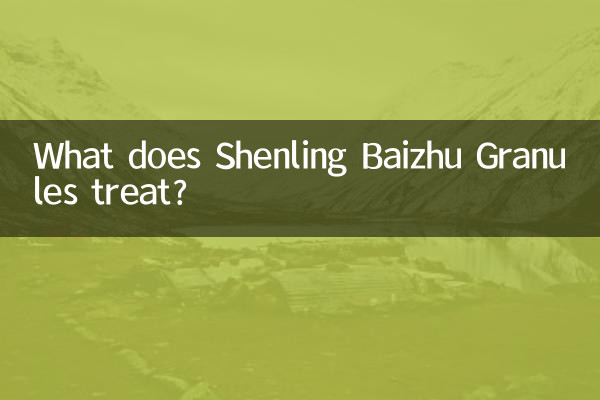 参苓白术颗粒治什么