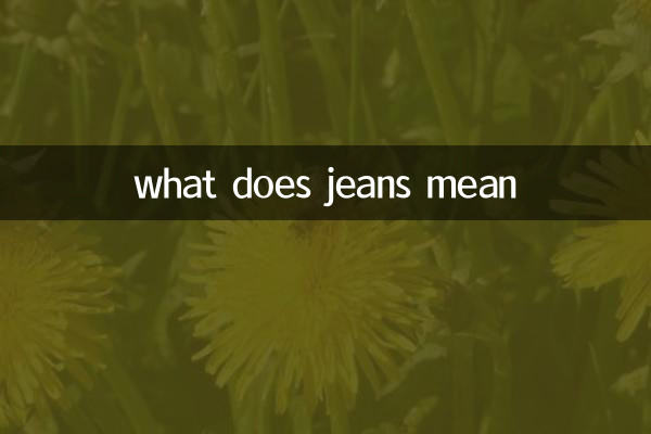 जीन्स का मतलब क्या है
