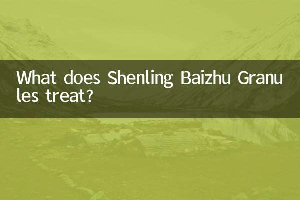 参苓白术颗粒治什么