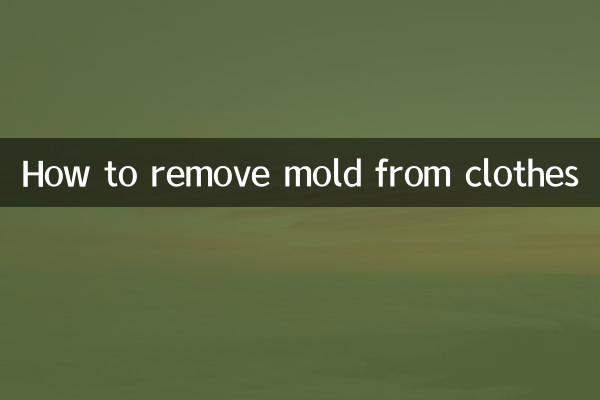 كيفية إزالة العفن من الملابس