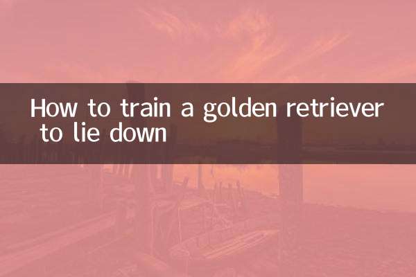 কিভাবে শুয়ে একটি গোল্ডেন রিট্রিভার প্রশিক্ষণ