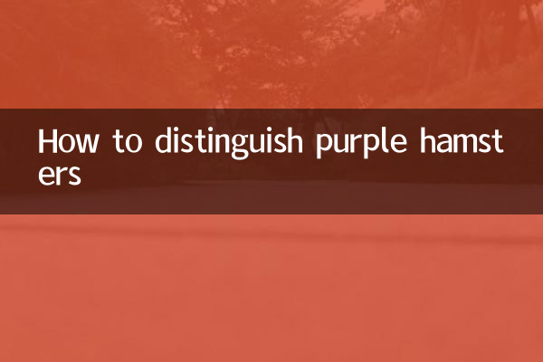 Wie man lila Hamster unterscheidet