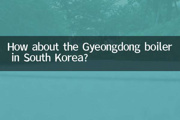 جنوبی کوریا میں گیانگ ڈونگ بوائلر کے بارے میں کیا خیال ہے؟