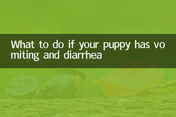 Que faire si votre chiot a des vomissements et de la diarrhée