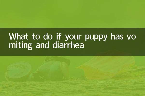 Que faire si votre chiot a des vomissements et de la diarrhée