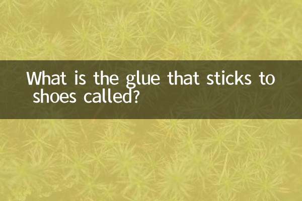 जूतों पर चिपकने वाला गोंद क्या कहलाता है?