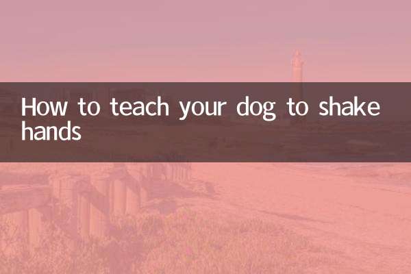 개에게 악수를 가르치는 방법