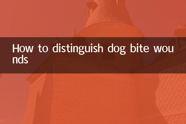 犬の噛み傷の見分け方