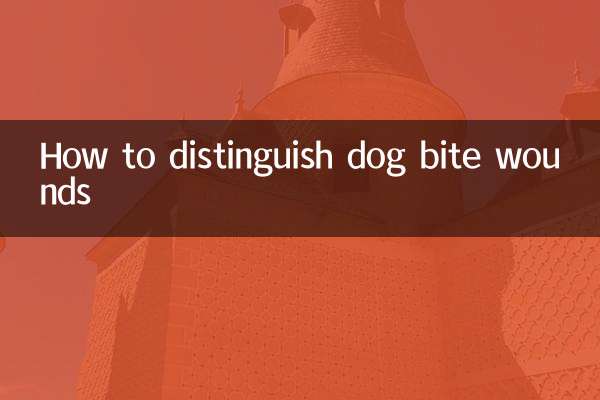 개에게 물린 상처를 구별하는 방법