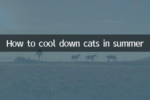 여름에 고양이를 식히는 방법