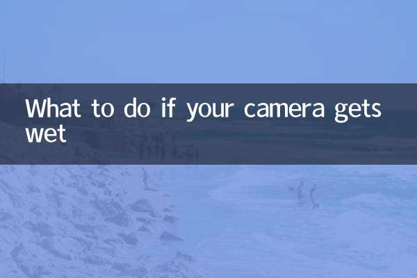 What to do if your camera gets wet