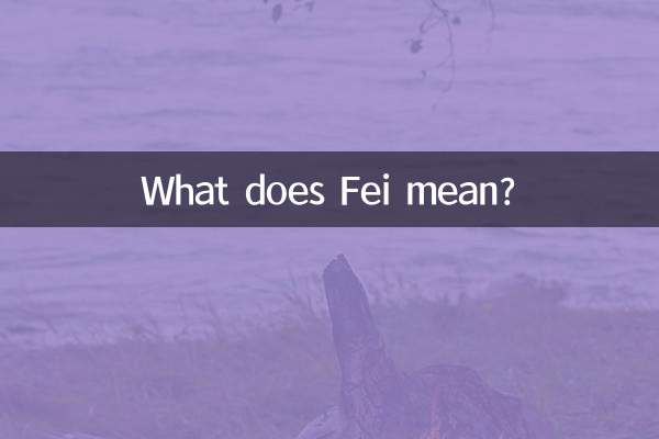 扉的意思是什么