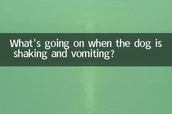 강아지가 떨고 토할 때 무슨 일이 일어나고 있나요?