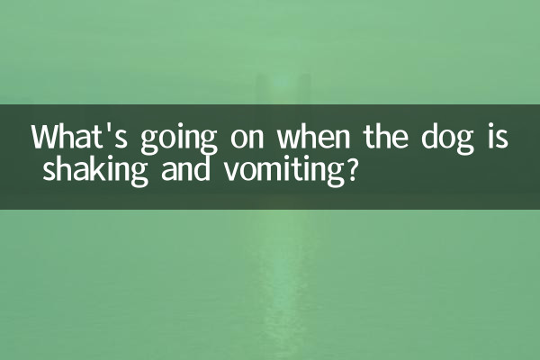 강아지가 떨고 토할 때 무슨 일이 일어나고 있나요?