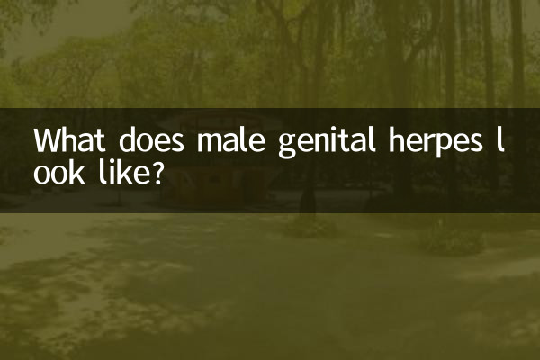 ¿Cómo se ve el herpes genital masculino?
