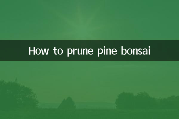 چگونه بونسای کاج را هرس کنیم