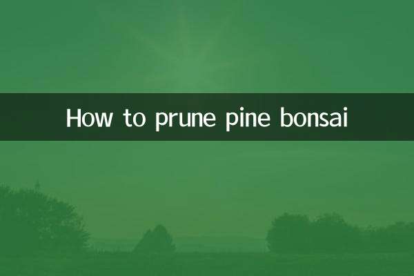 كيفية تقليم بونساي الصنوبر