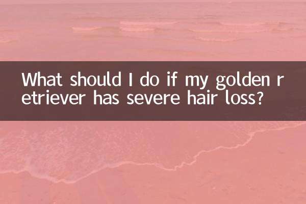 金毛严重掉毛怎么办