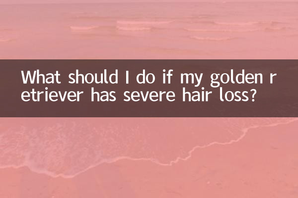 金毛严重掉毛怎么办