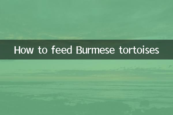 نحوه تغذیه لاک پشت های برمه ای