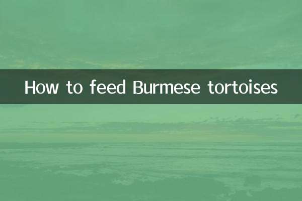 نحوه تغذیه لاک پشت های برمه ای