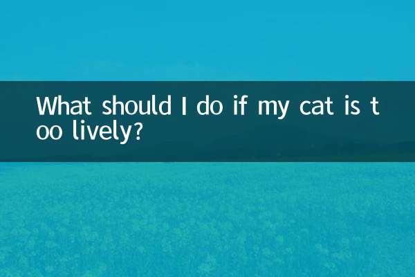 猫太活泼了怎么办