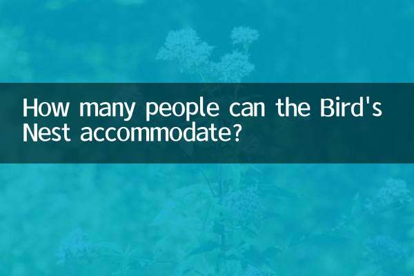 How many people can the Bird's Nest accommodate?