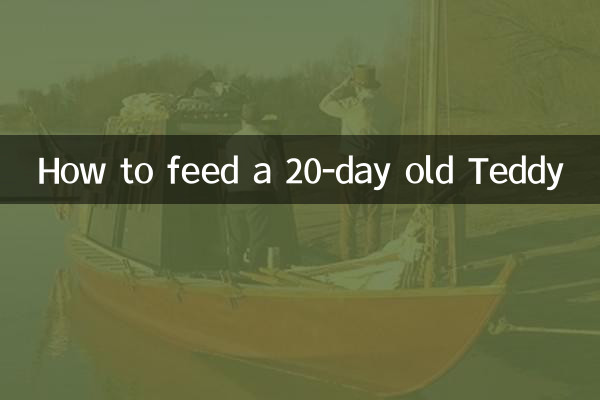 20 दिन के टेडी को कैसे खिलाएं?
