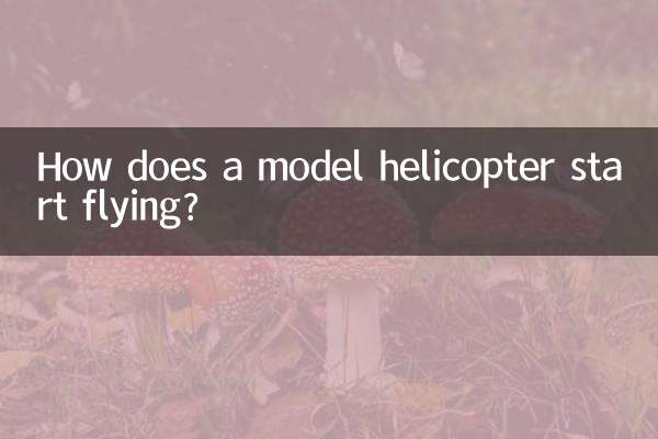 Wie kommt ein Modellhubschrauber zum Fliegen?