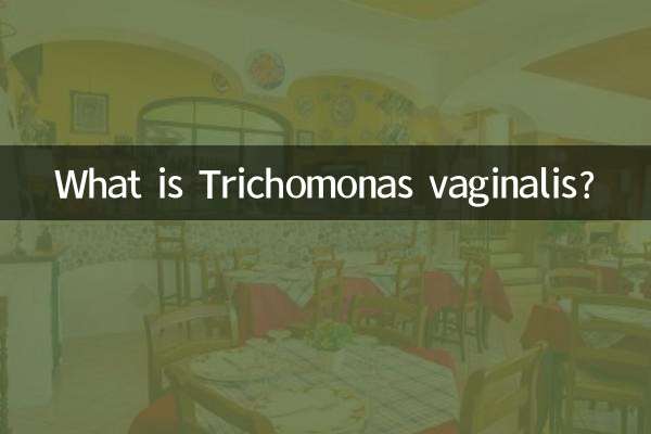 Was ist Trichomonas vaginalis?
