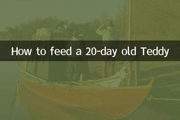 20 दिन के टेडी को कैसे खिलाएं?