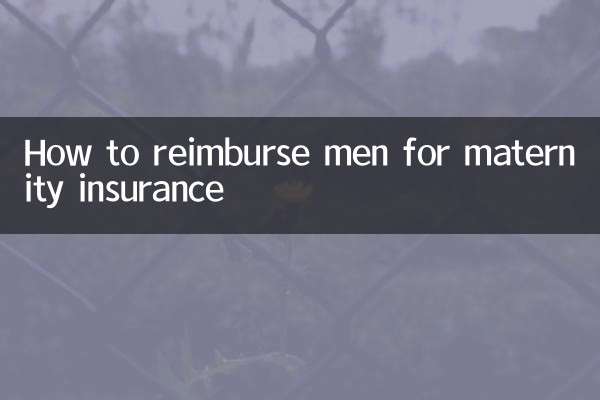 Cómo reembolsar a los hombres el seguro de maternidad