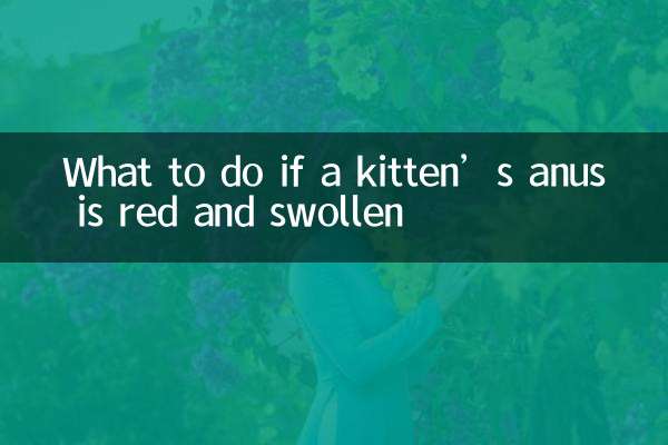 Что делать, если анус котенка покраснел и опух