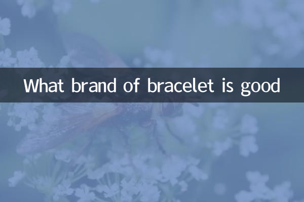 Welche Armbandmarke ist gut