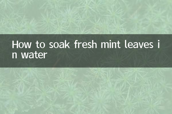 新鲜薄荷叶怎么泡水